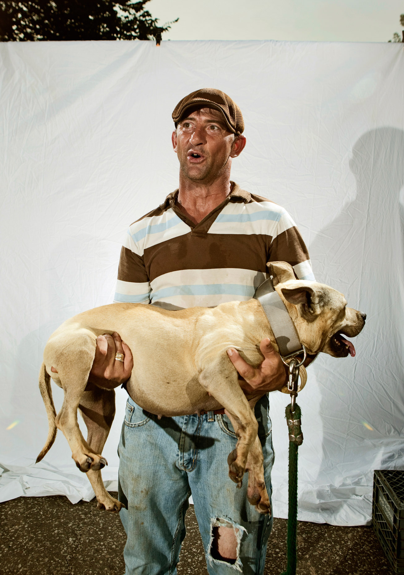 Man holding pocket pitbull. Brett Deering Photography