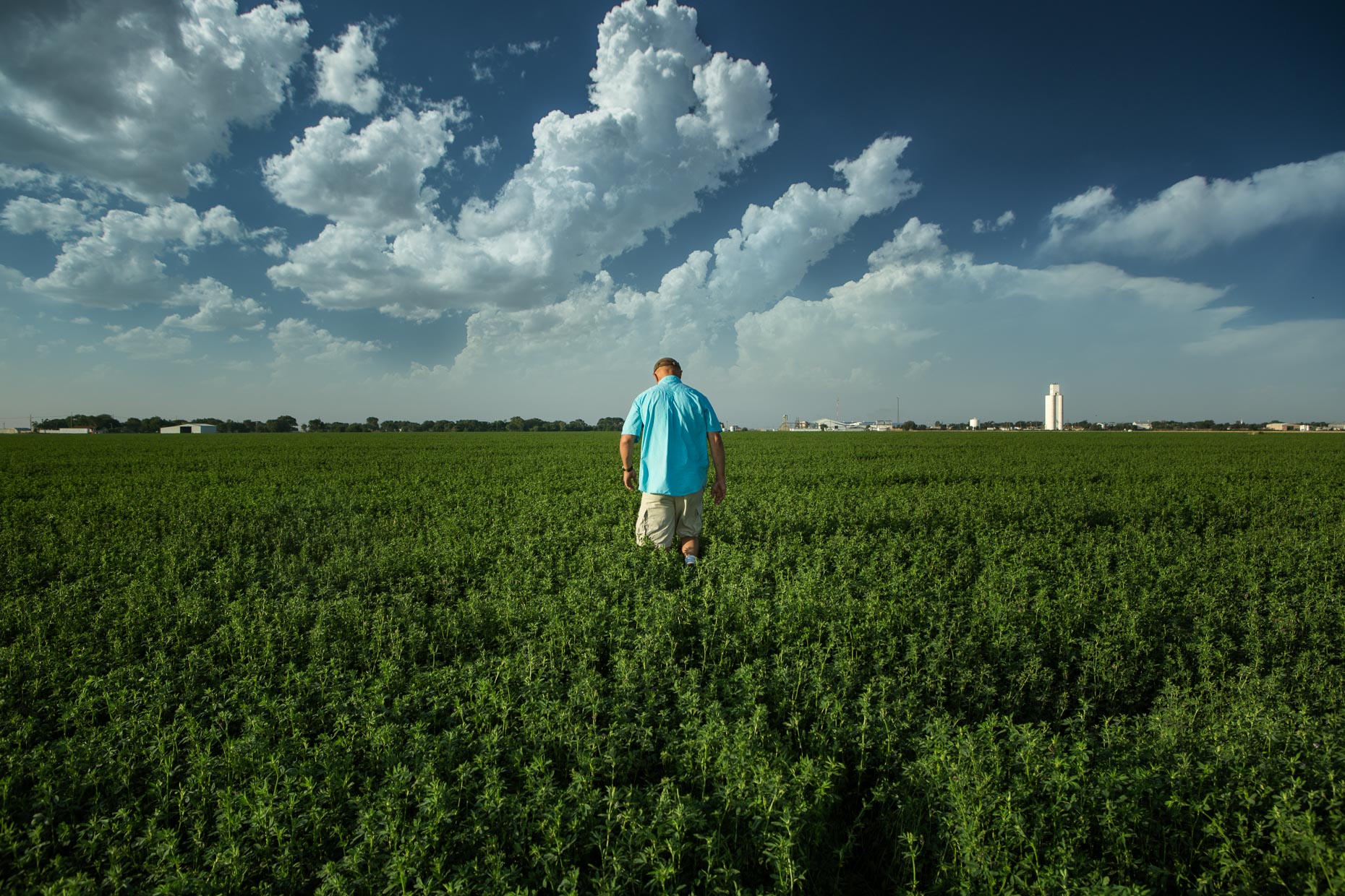 Randy McGee stands in one of his alfalfa fields in North Texas. Shot for Farm Life magazine. Brett Deering Photography